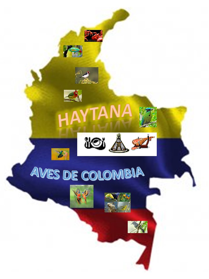 Logo de Haytana Aves de Colombia